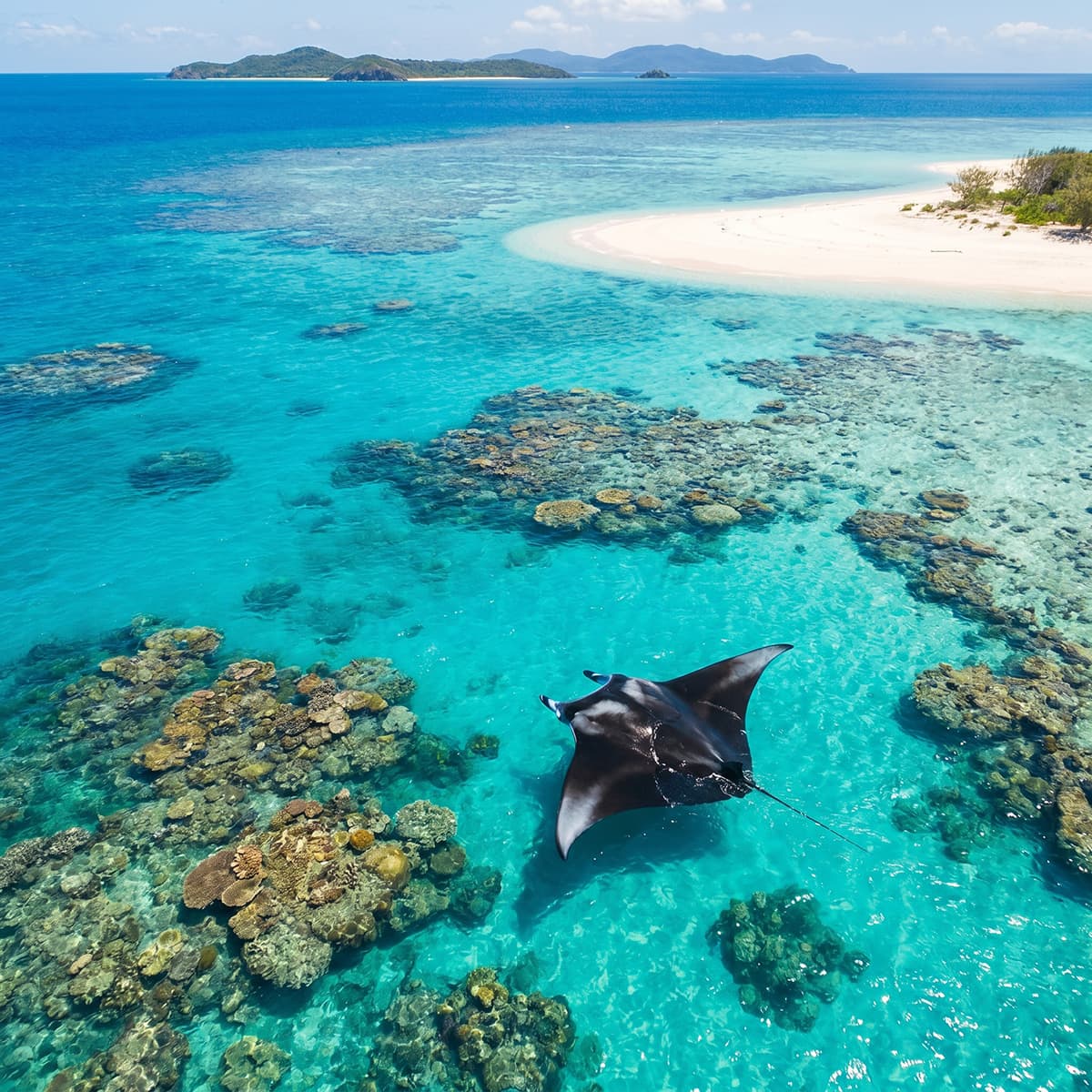 Banner các tour du lịch úc