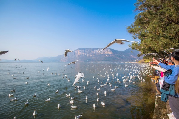 hồ điền trì lệ giang trung quốc