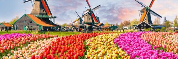Lễ hội hoa tulip Keukenhof hà lan